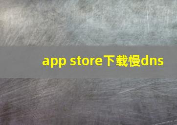 app store下载慢dns